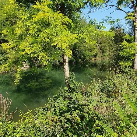 아파트 Au Petit Canal De Colmar 1