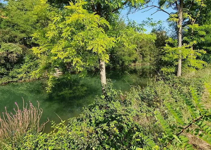 公寓 Au Petit Canal De Colmar 1