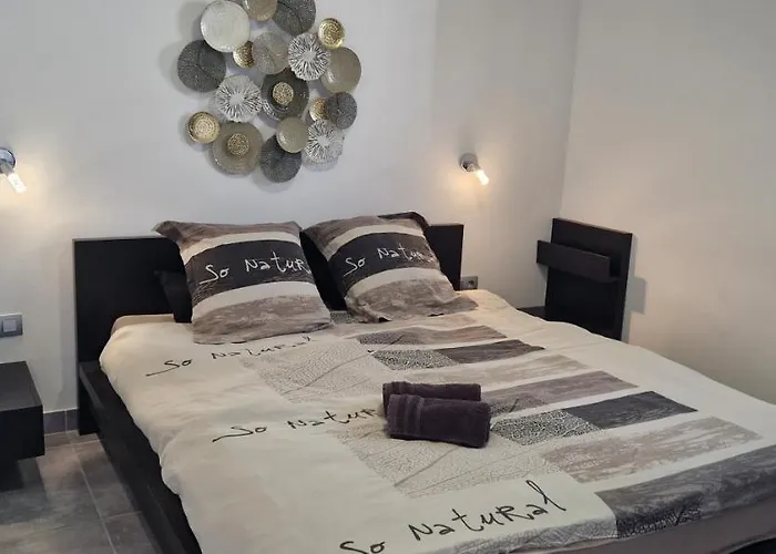 Apartment Au Petit Canal De Colmar 1 *